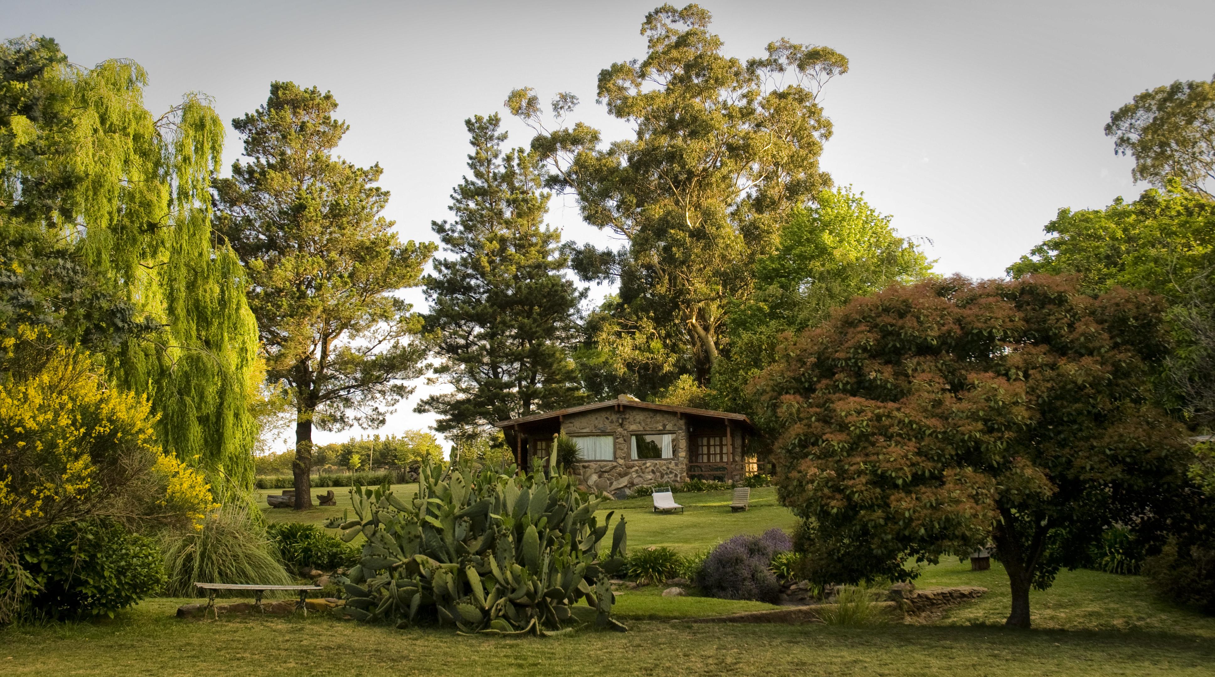 Hosteria & Spa De La Cascada تانديل المظهر الخارجي الصورة